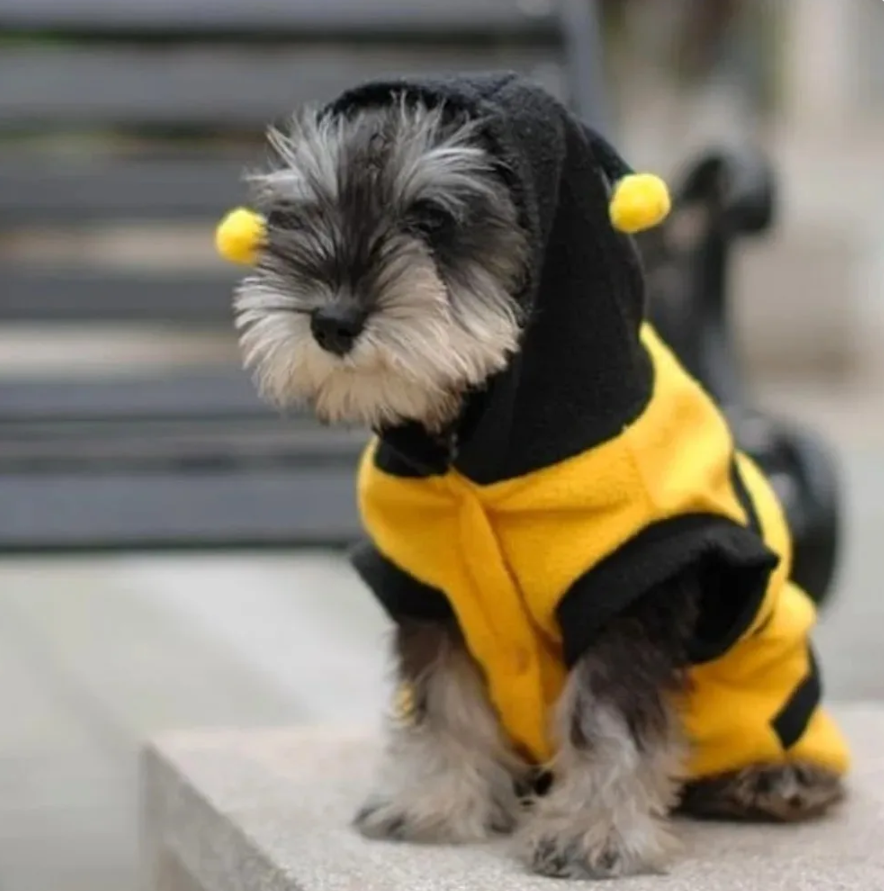 Cute Bee Costume