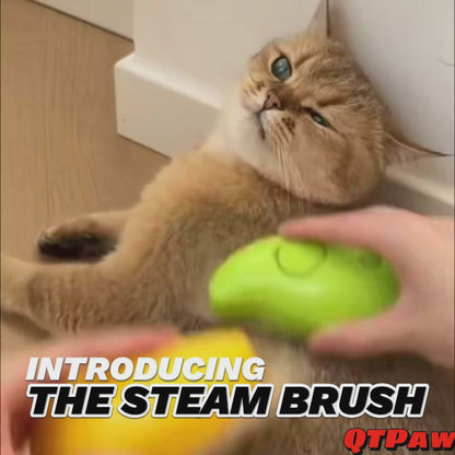 Steam Brush